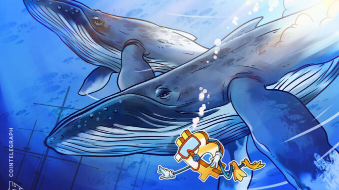 Bitcoin whale clusters pinpoint 3 key levels for BTC price rally to continue