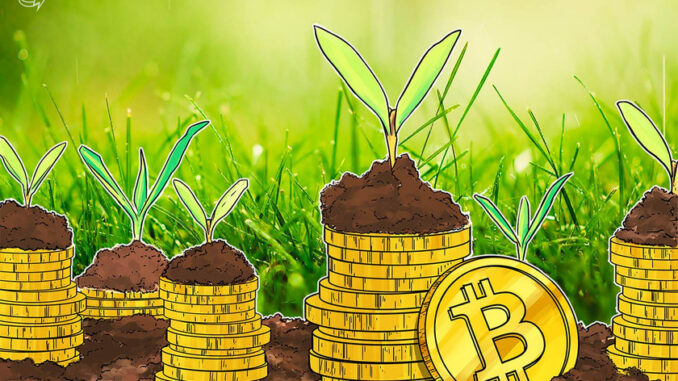 Gold drops to 7oz per BTC as Peter Schiff calls Bitcoin ‘biggest bubble’