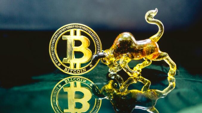 Microstrategy CEO Personally Owns $240 Million in Bitcoin — Company’s BTC Profit Eclipses Other Earnings