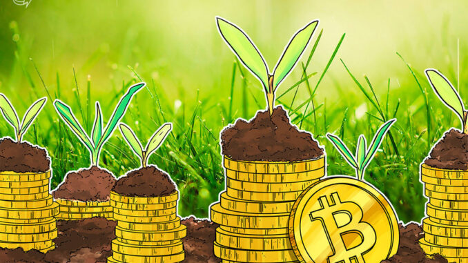 Paul Tudor Jones says Bitcoin is 'like investing early in Apple or Google'