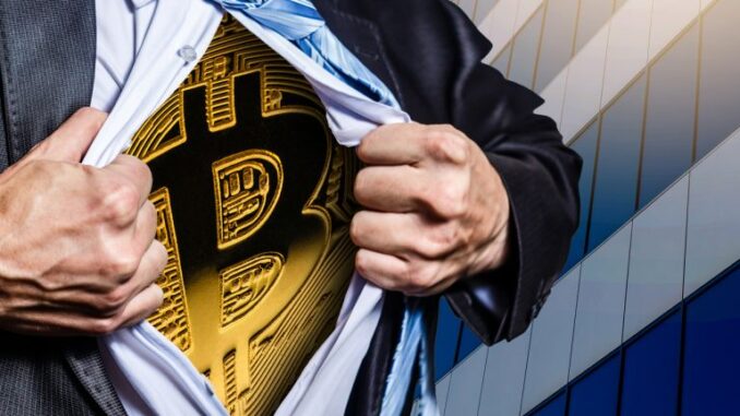 Price Increase Drives 98% of Bitcoin Holders Into a State of Profit
