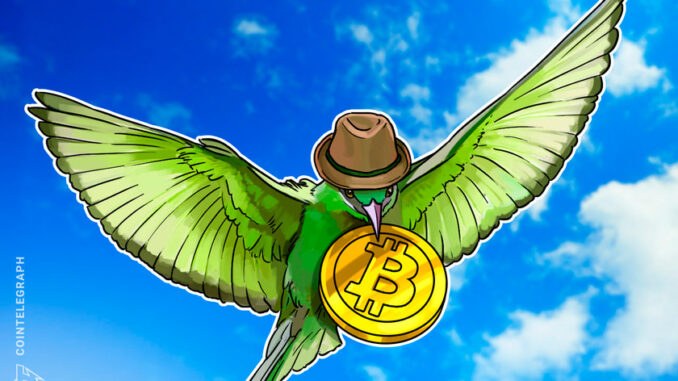 5 signs that the real Bitcoin rally may only be just beginning