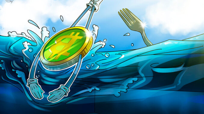 Bitcoin Cash hits record lows vs
